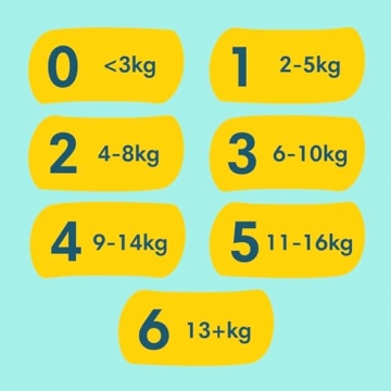 Pampers Baby Windeln Größe 5 (11-16kg) Premium Protection, Junior, MONATSBOX, bester Komfort und Schutz für empfindliche Haut, 152 Stück - 11