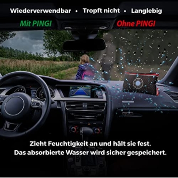 Pingi Luftentfeuchter Auto 1 Kissen x 300g | Wiederverwendbare Auto Entfeuchter Beutel gegen Kondenswasser und Feuchtigkeit | Für saubere Windschutzscheiben | Entfeuchterbeutel 100% auslaufsicher - 3