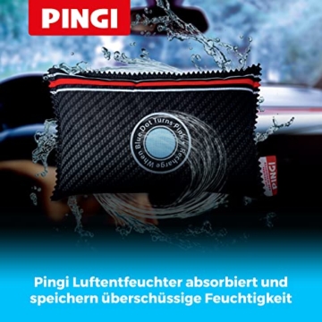 Pingi Luftentfeuchter Auto 1 Kissen x 300g | Wiederverwendbare Auto Entfeuchter Beutel gegen Kondenswasser und Feuchtigkeit | Für saubere Windschutzscheiben | Entfeuchterbeutel 100% auslaufsicher - 4