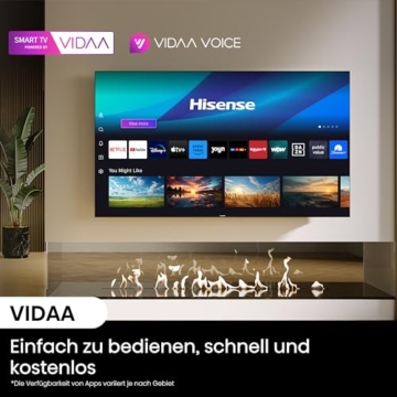 Hisense 55U7NQ 139cm (55 Zoll) Fernseher, 4K Mini LED ULED HDR Smart TV, Quantum Dot, 120Hz/ 144Hz VRR, HDMI 2.1, Game Mode Pro, Dolby Vision IQ & Atmos, Bluetooth, Alexa Built-in, Anthrazit, [2024] - 13