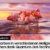 Samsung QLED 4K Q60A TV 43 Zoll (GQ43Q60AAUXZG), Quantum HDR, Quantum Prozessor Lite 4K, 100% Farbvolumen [2021] - 12