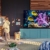 Samsung QLED 4K Q60A TV 43 Zoll (GQ43Q60AAUXZG), Quantum HDR, Quantum Prozessor Lite 4K, 100% Farbvolumen [2021] - 9