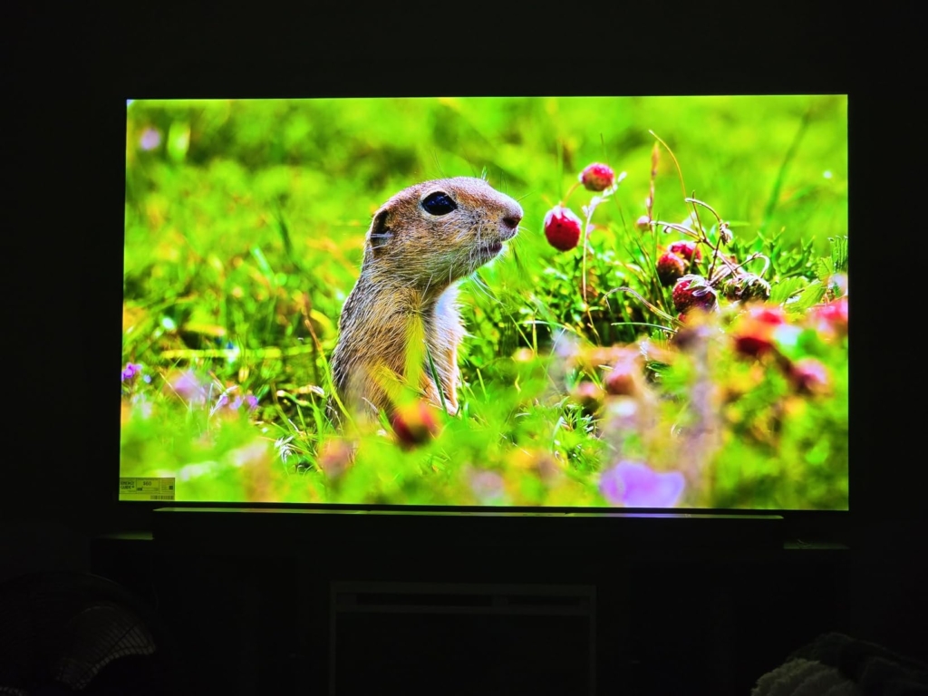LG OLED C5 65 Zoll Bewertung