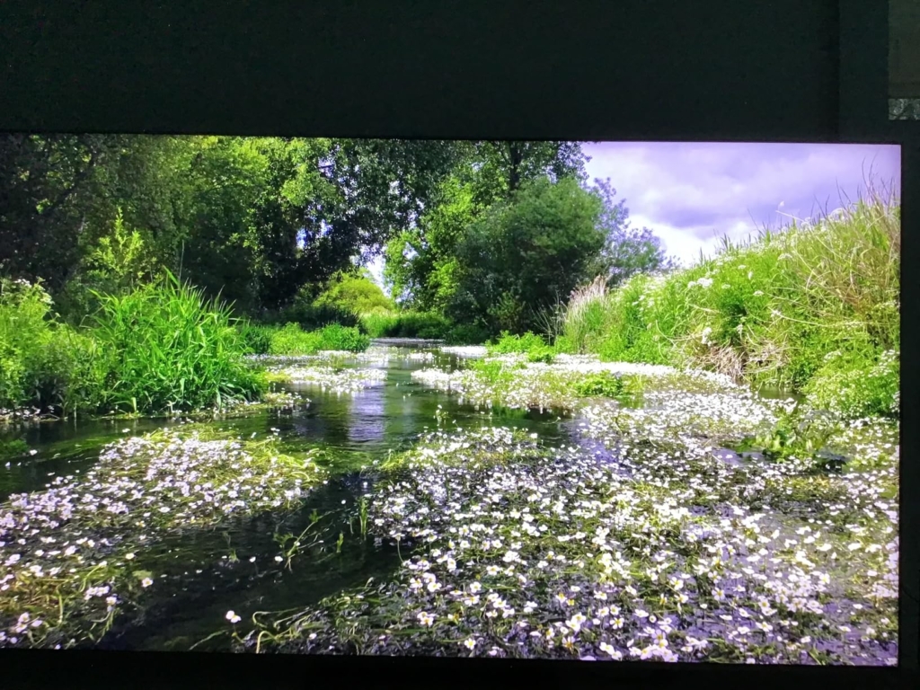 TCL 65Q8C 65 Zoll Erfahrungen