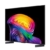 LG OLED65C6ELB TV 65 Zoll (165 cm) 4K OLED evo AI TV (α11 Gen3 4K AI Prozessor, webOS 26, 120Hz (VRR bis zu 165Hz)) [Modelljahr 2026] [Energieklasse F] - 15